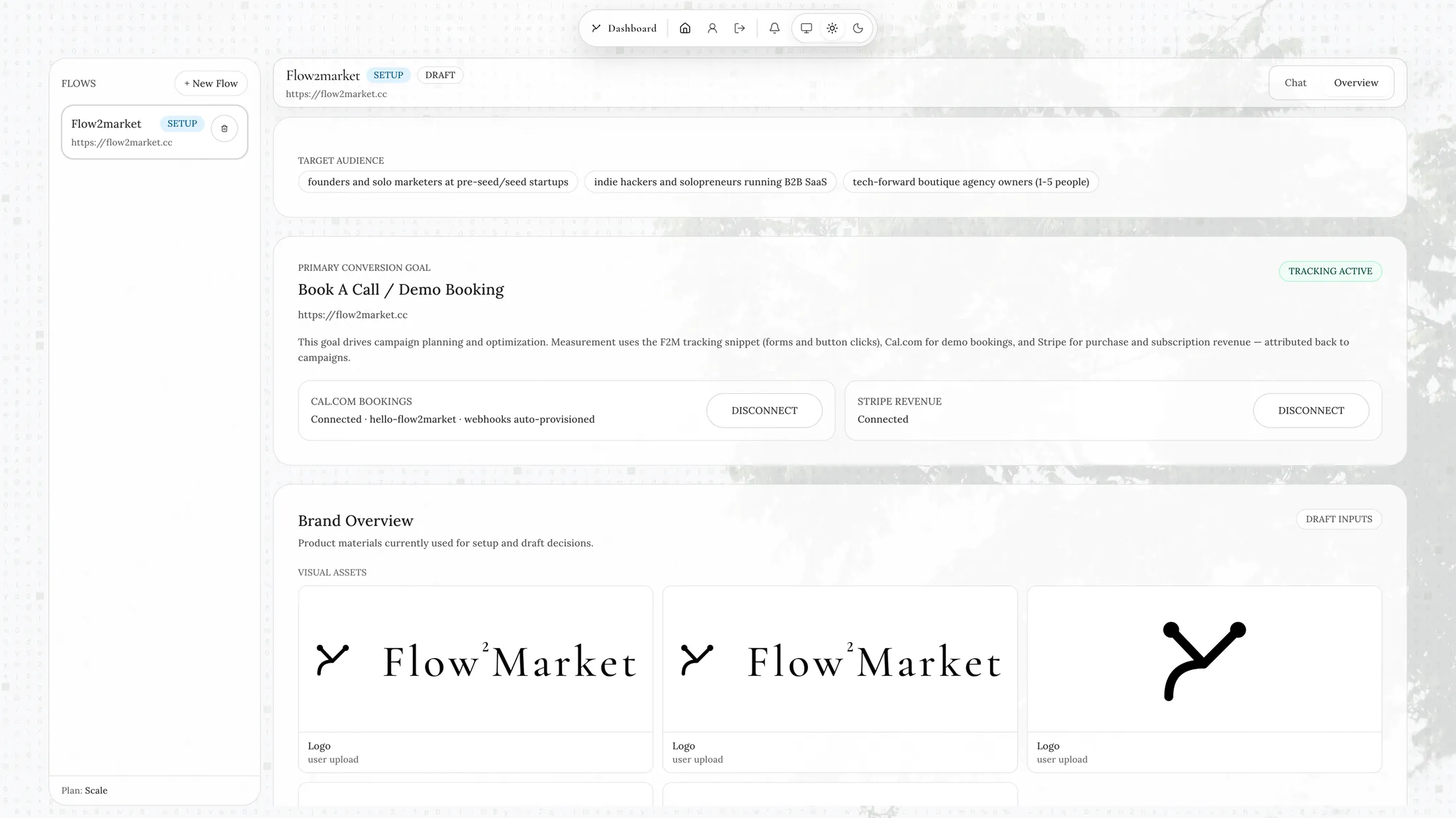 Conversion goal, connected tracking, and brand asset overview